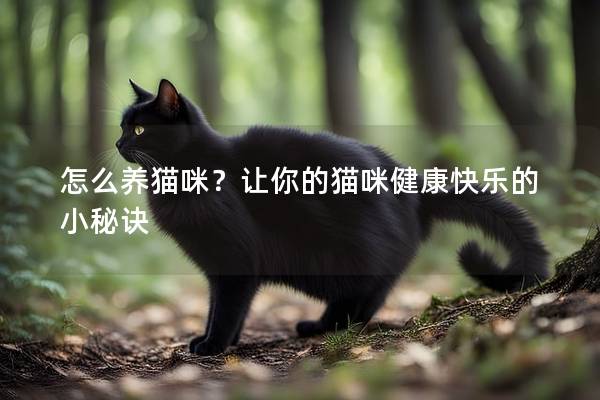 怎么养猫咪？让你的猫咪健康快乐的小秘诀