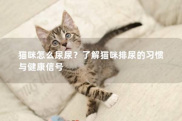 猫咪怎么尿尿？了解猫咪排尿的习惯与健康信号