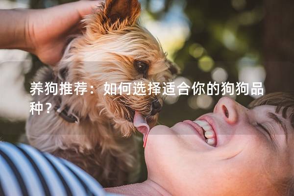 养狗推荐：如何选择适合你的狗狗品种？