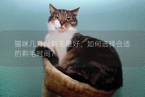 猫咪几月份剃毛最好，如何选择合适的剃毛时间？