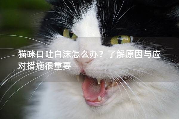 猫咪口吐白沫怎么办？了解原因与应对措施很重要