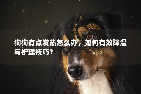 狗狗有点发热怎么办，如何有效降温与护理技巧？