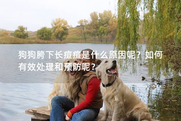 狗狗胯下长痘痘是什么原因呢？如何有效处理和预防呢？