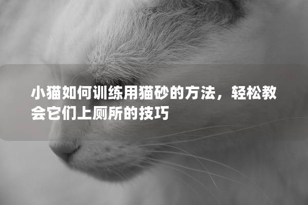 小猫如何训练用猫砂的方法，轻松教会它们上厕所的技巧