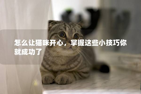 怎么让猫咪开心，掌握这些小技巧你就成功了