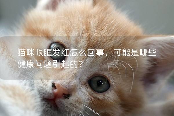 猫咪眼眶发红怎么回事，可能是哪些健康问题引起的？