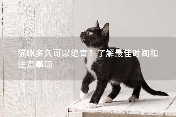 猫咪多久可以绝育？了解最佳时间和注意事项