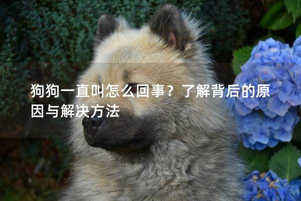 狗狗一直叫怎么回事？了解背后的原因与解决方法