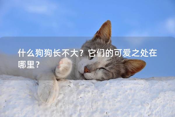 什么狗狗长不大？它们的可爱之处在哪里？