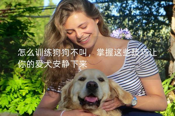 怎么训练狗狗不叫，掌握这些技巧让你的爱犬安静下来