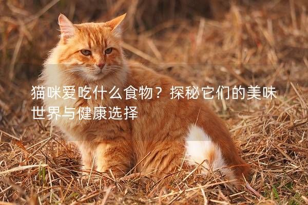 猫咪爱吃什么食物？探秘它们的美味世界与健康选择