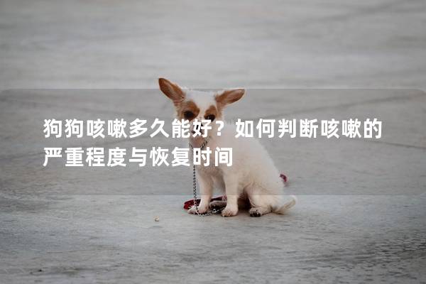 狗狗咳嗽多久能好？如何判断咳嗽的严重程度与恢复时间