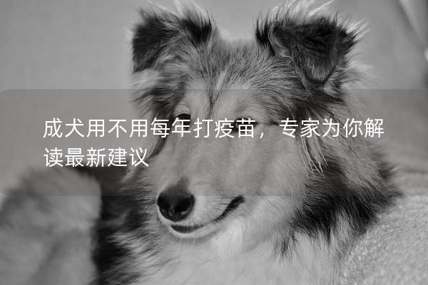 成犬用不用每年打疫苗，专家为你解读最新建议