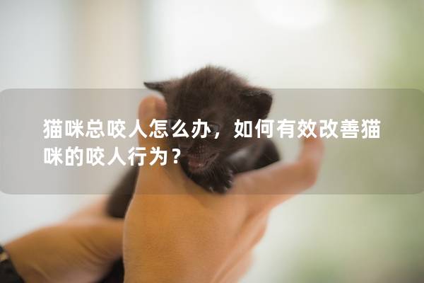 猫咪总咬人怎么办，如何有效改善猫咪的咬人行为？