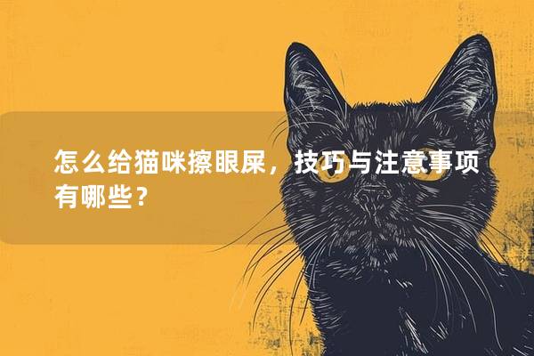 怎么给猫咪擦眼屎，技巧与注意事项有哪些？