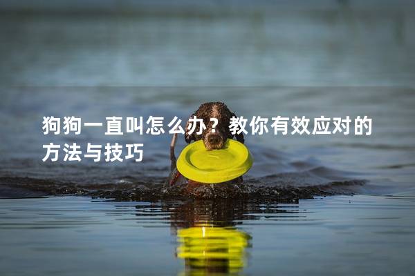 狗狗一直叫怎么办？教你有效应对的方法与技巧