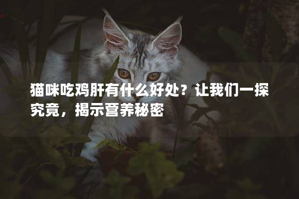 猫咪吃鸡肝有什么好处？让我们一探究竟，揭示营养秘密