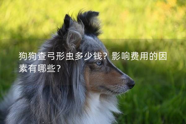 狗狗查弓形虫多少钱？影响费用的因素有哪些？