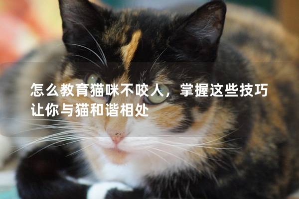 怎么教育猫咪不咬人，掌握这些技巧让你与猫和谐相处