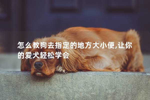 怎么教狗去指定的地方大小便,让你的爱犬轻松学会