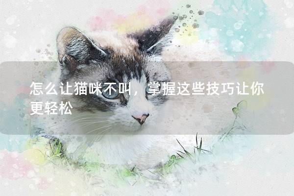 怎么让猫咪不叫，掌握这些技巧让你更轻松