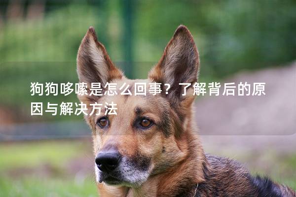 狗狗哆嗦是怎么回事？了解背后的原因与解决方法