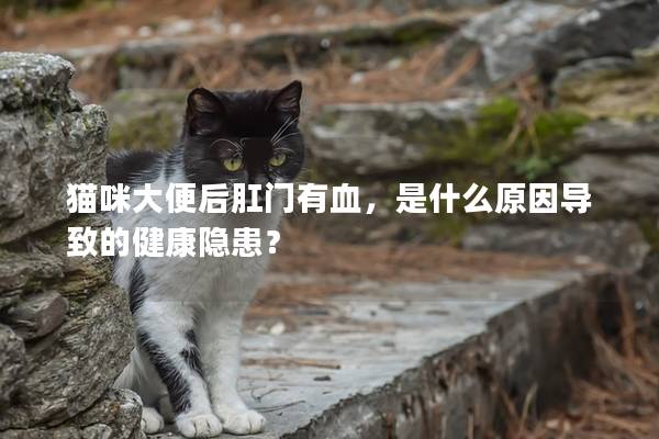 猫咪大便后肛门有血，是什么原因导致的健康隐患？