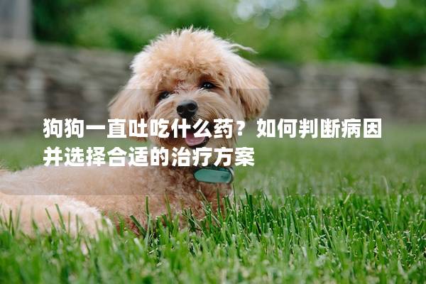 狗狗一直吐吃什么药？如何判断病因并选择合适的治疗方案