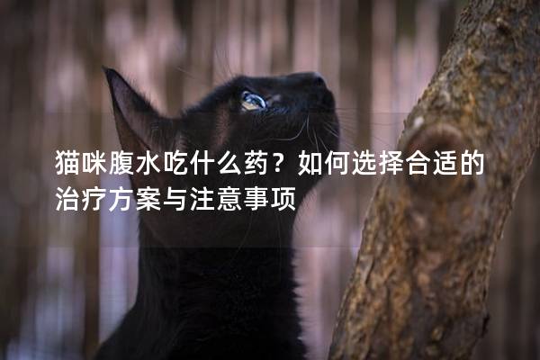 猫咪腹水吃什么药？如何选择合适的治疗方案与注意事项