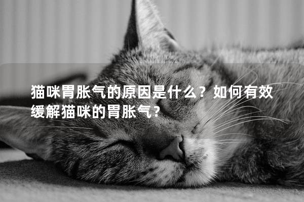 猫咪胃胀气的原因是什么？如何有效缓解猫咪的胃胀气？