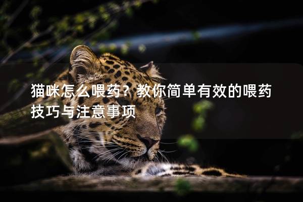 猫咪怎么喂药？教你简单有效的喂药技巧与注意事项