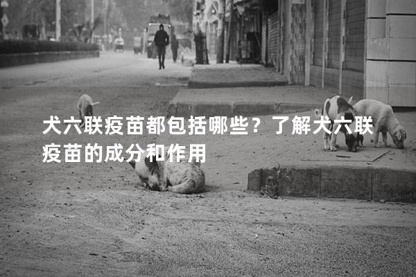 犬六联疫苗都包括哪些？了解犬六联疫苗的成分和作用