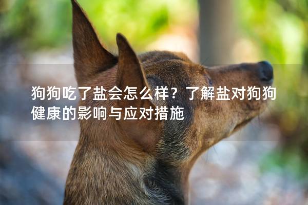 狗狗吃了盐会怎么样？了解盐对狗狗健康的影响与应对措施