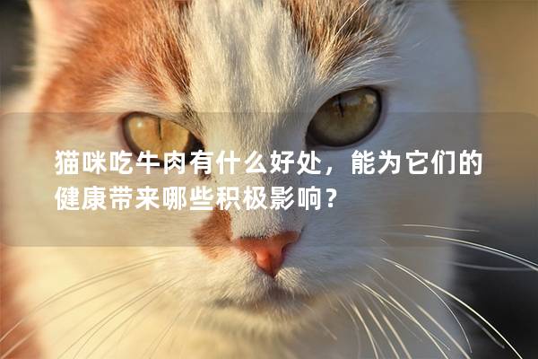 猫咪吃牛肉有什么好处，能为它们的健康带来哪些积极影响？