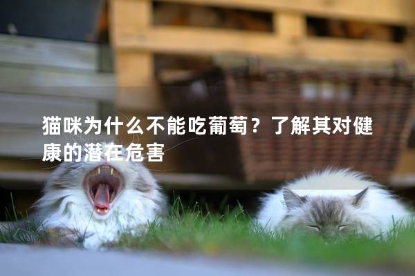 猫咪为什么不能吃葡萄？了解其对健康的潜在危害