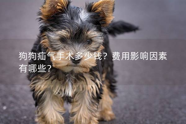 狗狗疝气手术多少钱？费用影响因素有哪些？