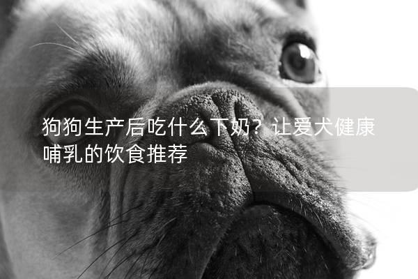 狗狗生产后吃什么下奶？让爱犬健康哺乳的饮食推荐