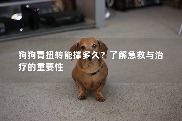 狗狗胃扭转能撑多久？了解急救与治疗的重要性