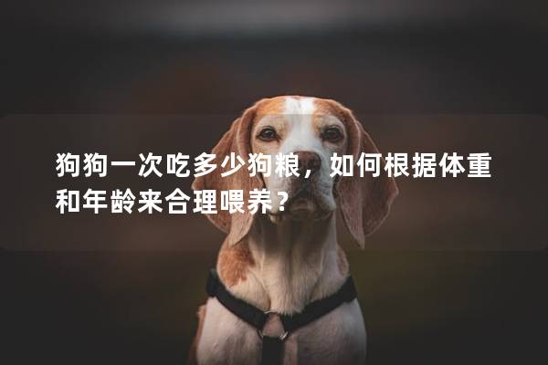 狗狗一次吃多少狗粮，如何根据体重和年龄来合理喂养？