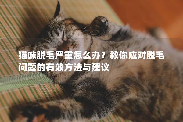 猫咪脱毛严重怎么办？教你应对脱毛问题的有效方法与建议