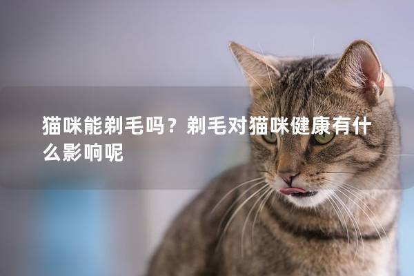 猫咪能剃毛吗？剃毛对猫咪健康有什么影响呢