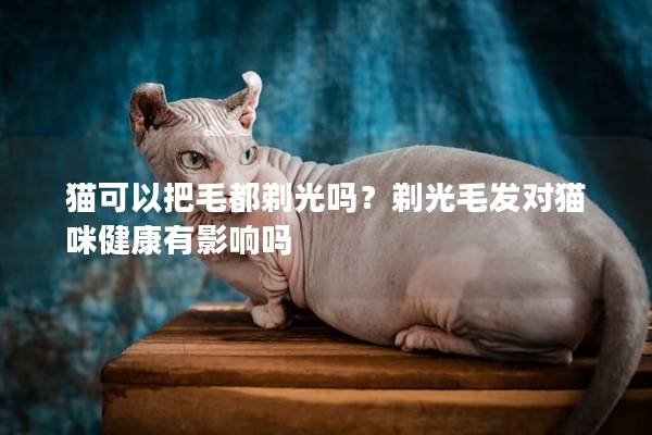 猫可以把毛都剃光吗？剃光毛发对猫咪健康有影响吗