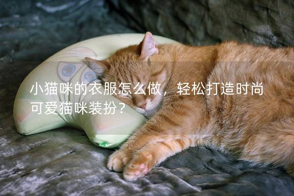 小猫咪的衣服怎么做，轻松打造时尚可爱猫咪装扮？