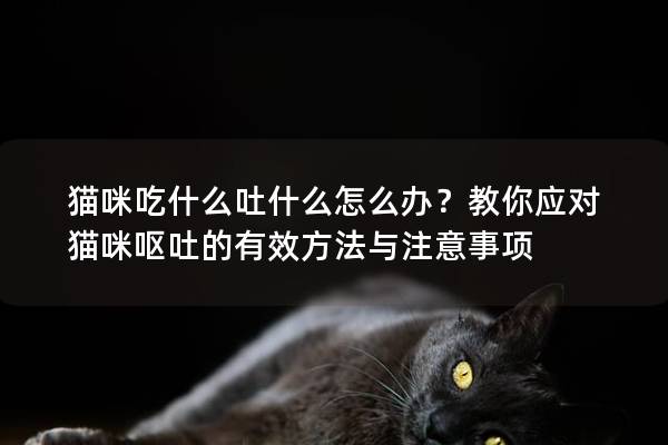 猫咪吃什么吐什么怎么办？教你应对猫咪呕吐的有效方法与注意事项