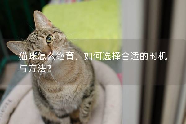 猫咪怎么绝育，如何选择合适的时机与方法？