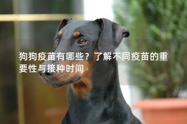 狗狗疫苗有哪些？了解不同疫苗的重要性与接种时间