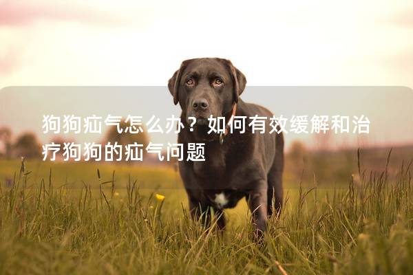 狗狗疝气怎么办？如何有效缓解和治疗狗狗的疝气问题