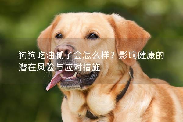 狗狗吃油腻了会怎么样？影响健康的潜在风险与应对措施