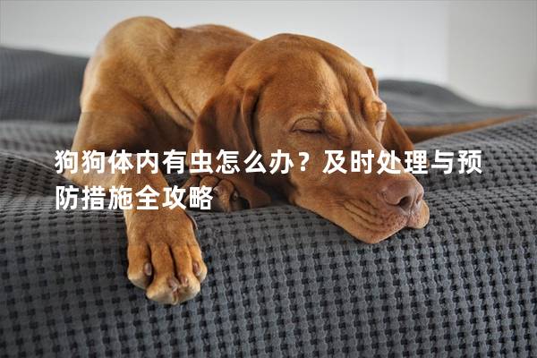 狗狗体内有虫怎么办？及时处理与预防措施全攻略