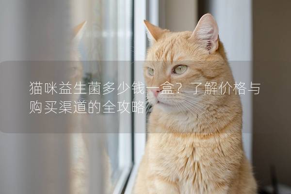 猫咪益生菌多少钱一盒？了解价格与购买渠道的全攻略